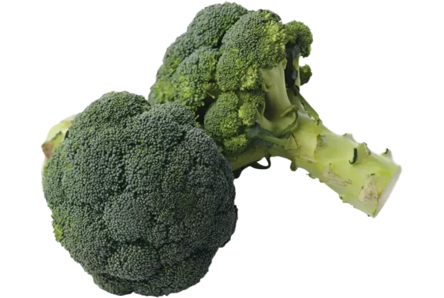 Brocoli 500g taille 12 caisse 12pc